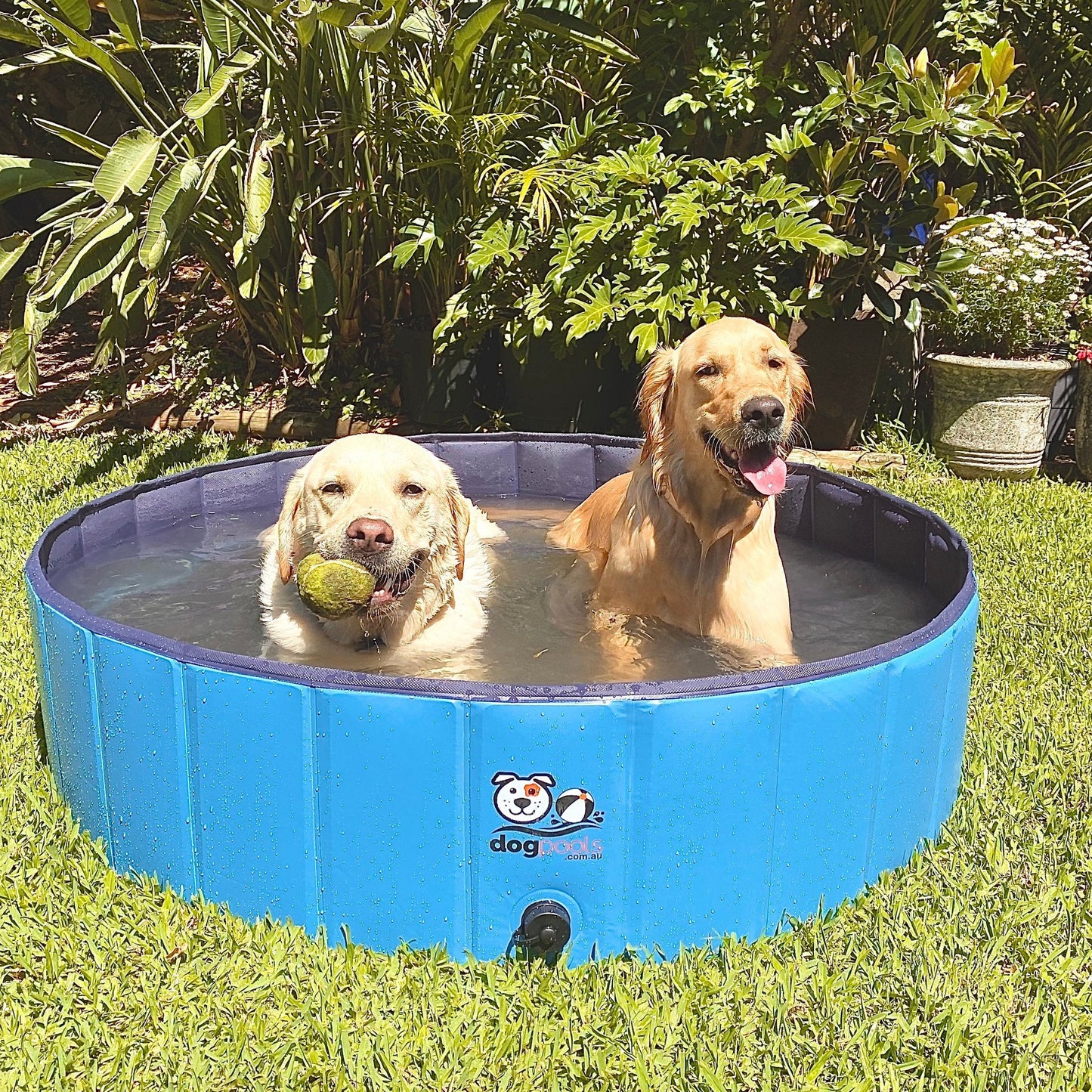 Foldable Pool - Size M - FREE Shipping